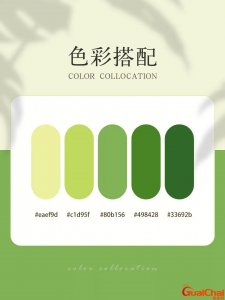 ​绿色和什么颜色搭配好看图片 绿色和什么颜色搭配好看画画