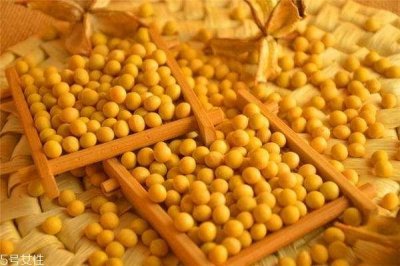 ​秋天吃什么不困 常吃5种食物缓困意
