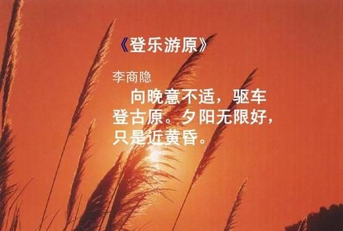 爷爷说自己夕阳无限好只是近黄昏我赶忙说了一句杜牧的一句诗是什么