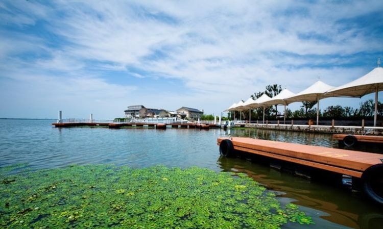 阳澄湖是属于哪个省、市