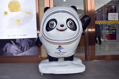 ​冬奥会“一墩难求”：冰墩墩英语怎么说？并不是Bing Dun Dun哦