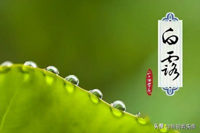 ​白露是什么意思我们来看看