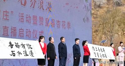 ​石家庄赞皇：中书协会员王凯旋书法作品亮相杏花节
