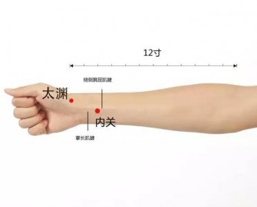 ​太渊穴：手太阴肺经之源穴、本穴；气喘，咳嗽，咳血，咽干肿痛等
