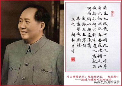 ​毛主席写武汉两首词：龟蛇锁大江！-赵新月新解毛主席诗词