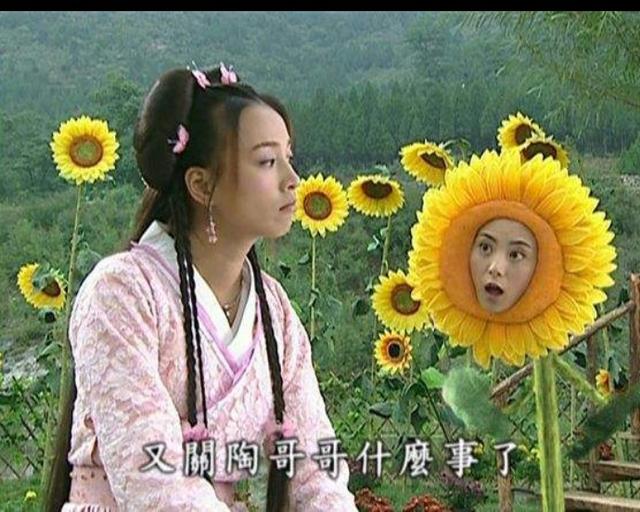 电影倩女幽魂中大结局（在电视剧花姑子和倩女幽魂中）(1)
