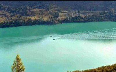 ​盘点中国排名前三的水怪事件，真的有巨型神秘生物存在吗？