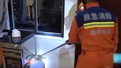 ​海南儋州现奇观！居民家中藏身“五爪金龙”，鳞甲堪比铠甲！