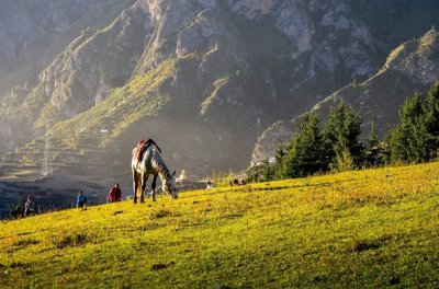 ​高位谋划，推进景区规划设计开发！米丘大师走进扎尕那……