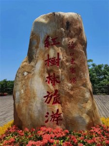 ​说说含“悲”字的成语大世界