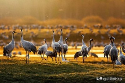 ​天籁之音：探寻十首震撼心灵的合唱佳作