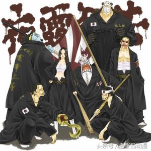​海贼王七武海仅剩四个，不过都是霸道无比的强者