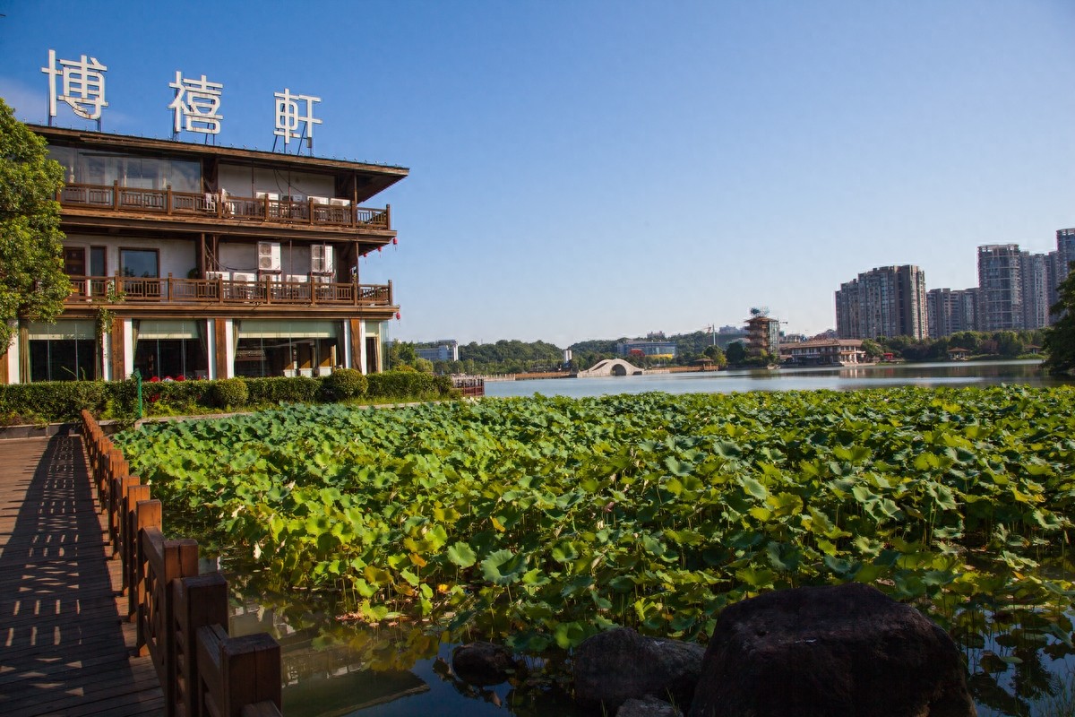 长沙月湖公园，“月湖十景”风景优美，免费的娱乐、休闲好去处