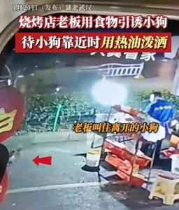 ​太恶毒！摊贩热油虐待小狗后续：评论区沦陷、店铺被扒！