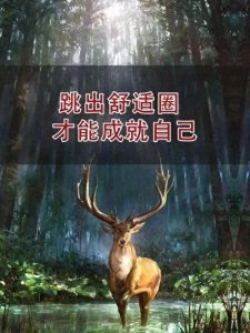 ​跳出舒适圈，成为更好的自己：努力、读书与健身的力量