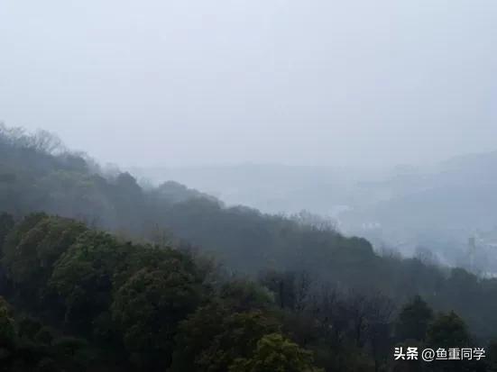 清明节下雨有什么说法(为什么每年清明节都会下雨)
