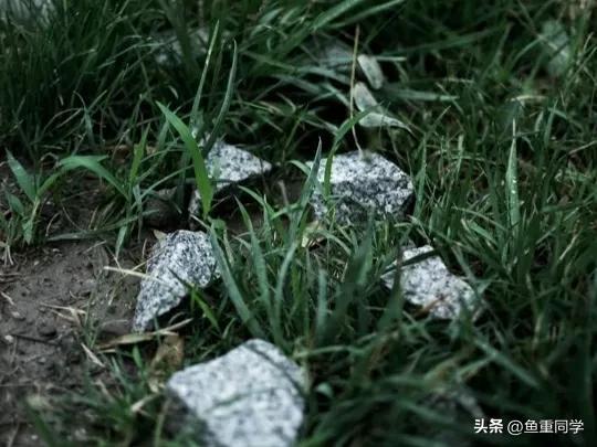 清明节下雨有什么说法(为什么每年清明节都会下雨)