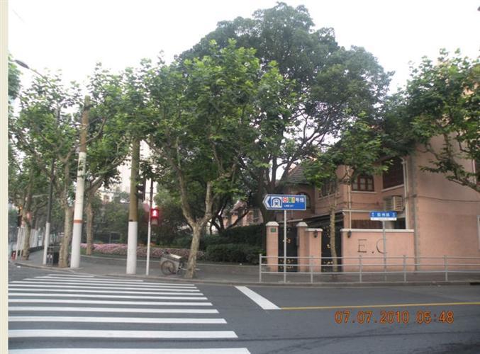 上海公路莫名起火（位置曾经是老上海的一个火葬场）(3)_