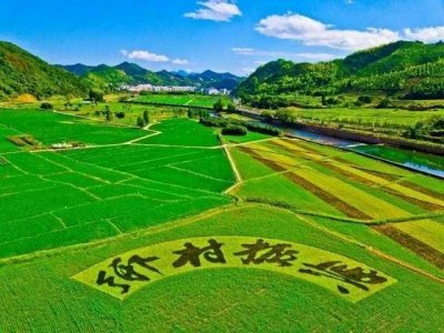 ​农村未来的发展方向与规划