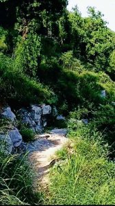 ​在四季的风景里，春天萌芽，夏日生长，秋来成熟