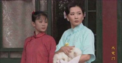 ​“何赛飞背后的男人”杨楠：为爱丁克10年，42岁得子甘做全职奶爸