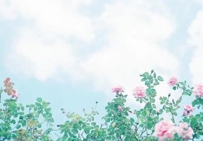 ​微信步数有什么用处？微信步数有什么意义