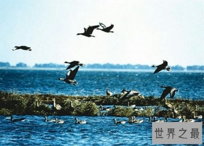 ​描写洞庭湖的诗句，其中李白和白居易写的最为生动形象