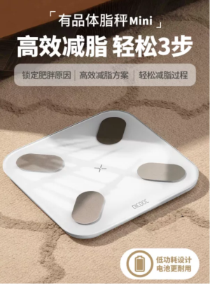 称重电子秤品牌排行榜（推荐10款最精确的体脂秤）