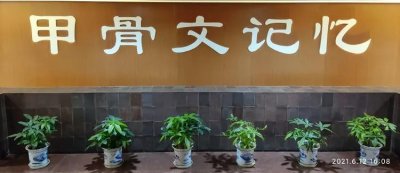 ​走进国家图书馆