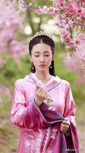 ​古装女神王丽坤的 十部好剧