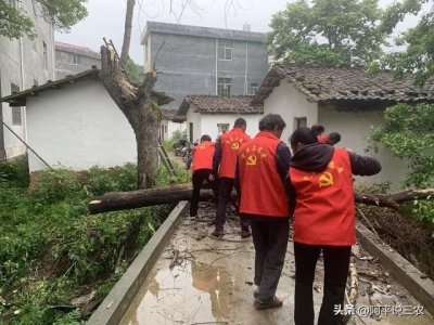 ​村干部年轻化的趋势有利于村子的发展吗？