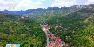 ​隐士村里柿子红 走出百姓致富路