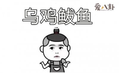 ​乌鸡鲅鱼是什么梗这句话是什么意思