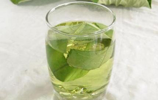 荷叶泡水喝有什么功效作用
