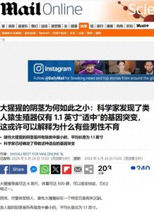 ​大猩猩丁丁为何那么短小？美科学家解密男性这个秘密