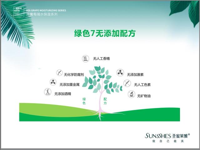 圣蜜莱雅化妆品价格表(做了这么多年化妆品)(1)