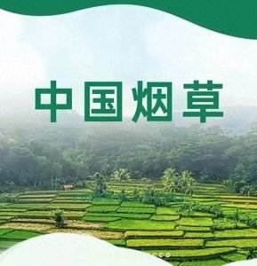 ​中国烟草公司一年赚多少钱？