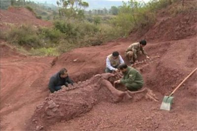 ​漂流甲龙：造型十分特殊如同装甲车普遍（钻研价格高）