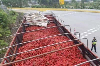 ​线椒算绿通吗