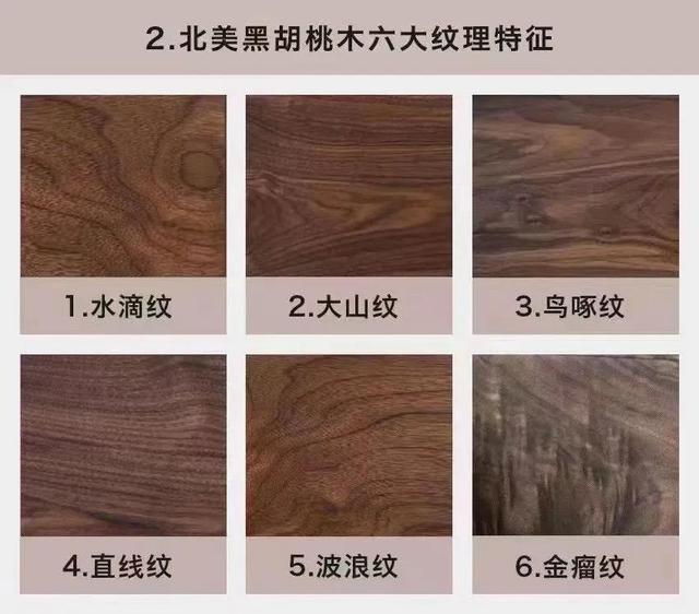 优势黑胡桃介绍(认识黑胡桃)(2)