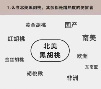 ​优势黑胡桃介绍（认识黑胡桃）