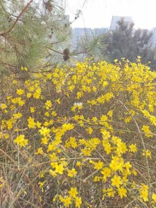 ​北京游玩哪个季节好