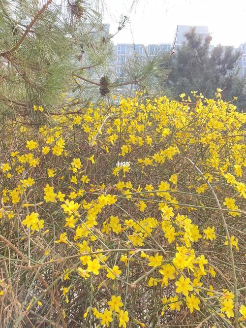 一、春季（3-10月）