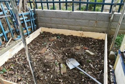 ​龟池设计：静水沼泽池塘你学会了吗